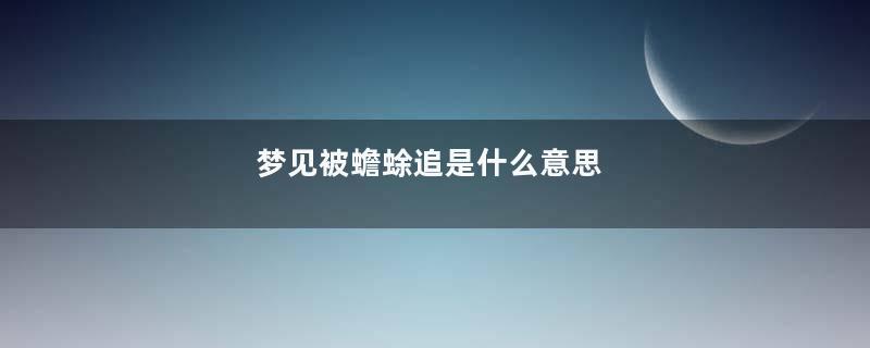 梦见被蟾蜍追是什么意思