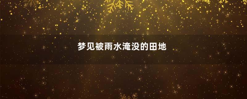 梦见被雨水淹没的田地