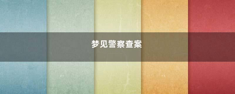 梦见警察查案