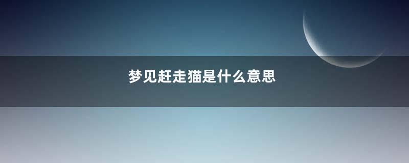 梦见赶走猫是什么意思