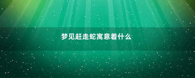 梦见赶走蛇寓意着什么