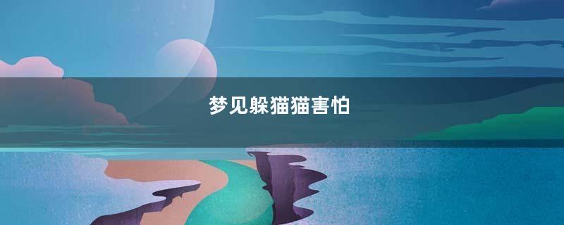 梦见躲猫猫害怕