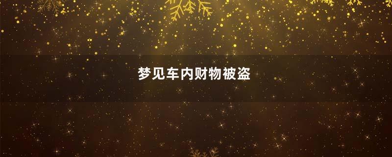 梦见车内财物被盗