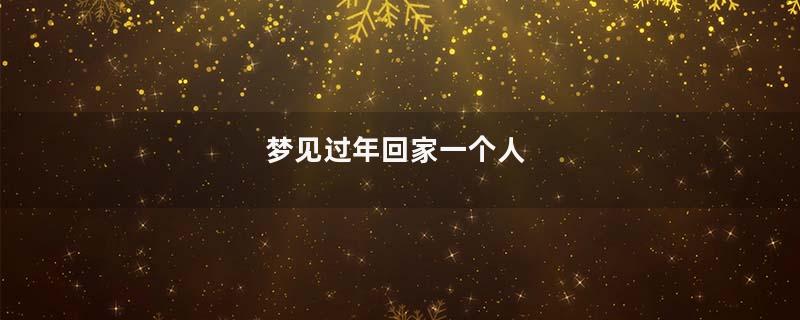 梦见过年回家一个人