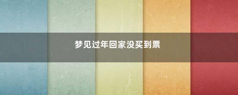 梦见过年回家没买到票