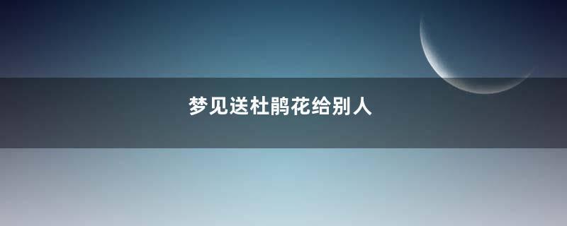 梦见送杜鹃花给别人
