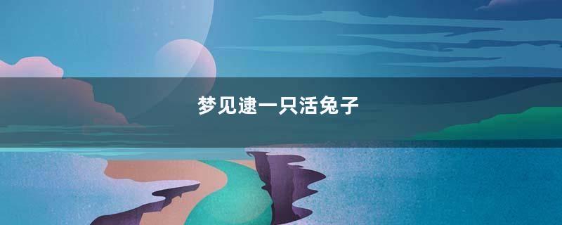 梦到逮一只活兔子