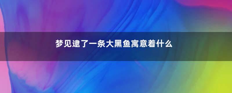 梦见逮了一条大黑鱼寓意着什么