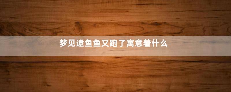 梦见逮鱼鱼又跑了寓意着什么