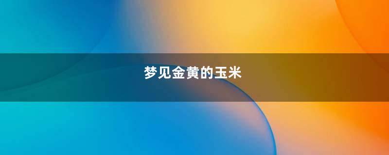 梦见金黄的玉米
