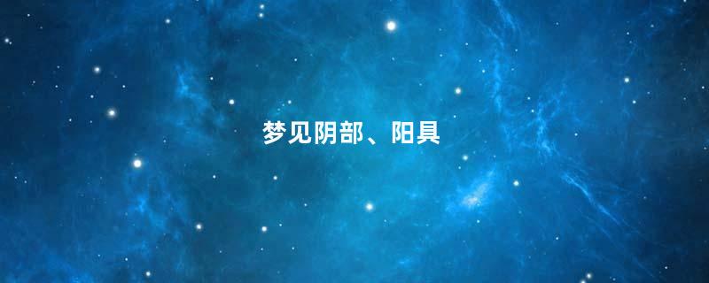 梦见阴部、阳具