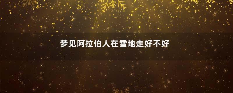 梦见阿拉伯人在雪地走好不好