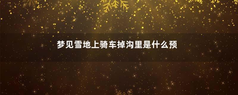 梦见雪地上骑车掉沟里是什么预兆