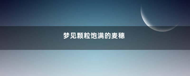 梦见颗粒饱满的麦穗