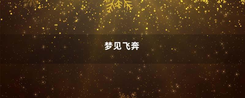 梦见飞奔