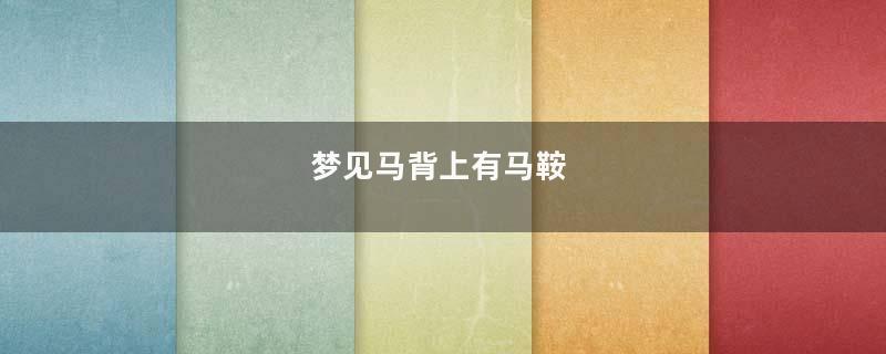 梦见马背上有马鞍