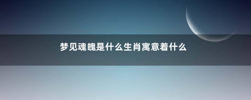 梦见魂魄是什么生肖寓意着什么意思