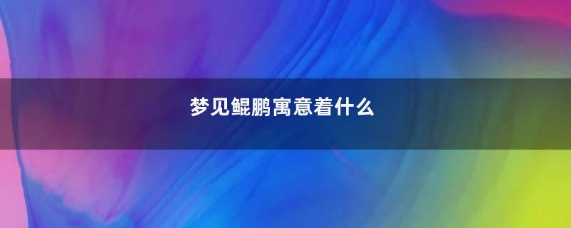 梦见鲲鹏寓意着什么