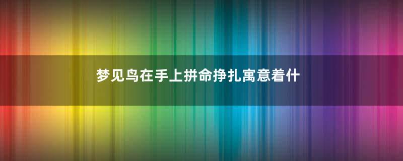 梦见鸟在手上拼命挣扎寓意着什么