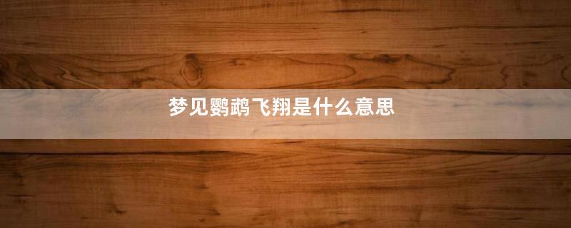 梦见鹦鹉飞翔是什么意思