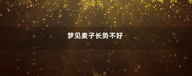 梦见麦子长势不好