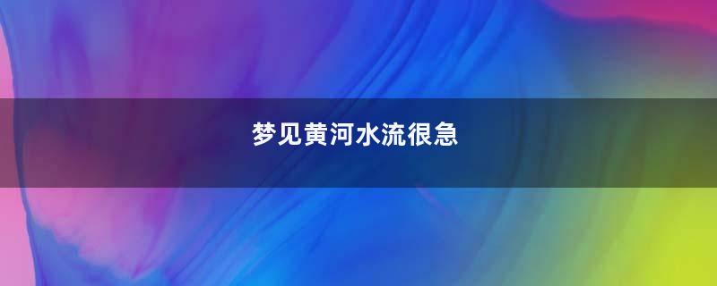 梦见黄河水流很急