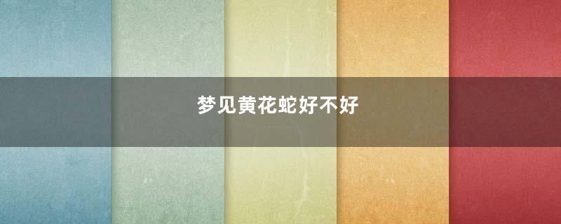 梦见黄花蛇好不好