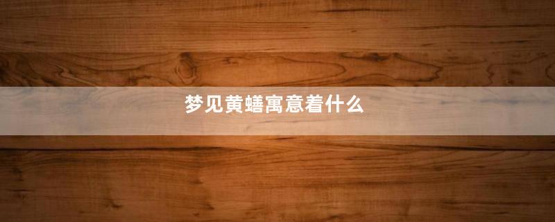 梦见黄蟮寓意着什么
