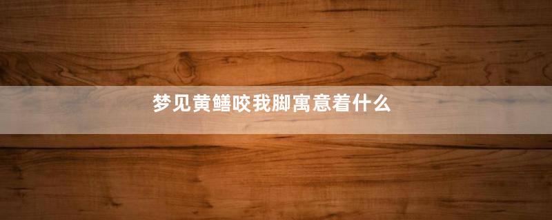 梦见黄鳝咬我脚寓意着什么