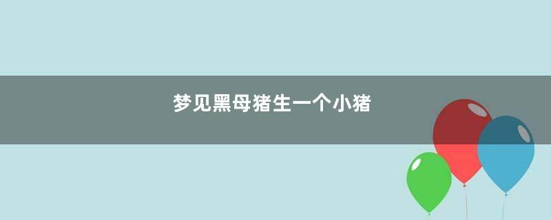 梦到黑母猪生一个小猪