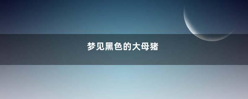 梦见黑色的大母猪