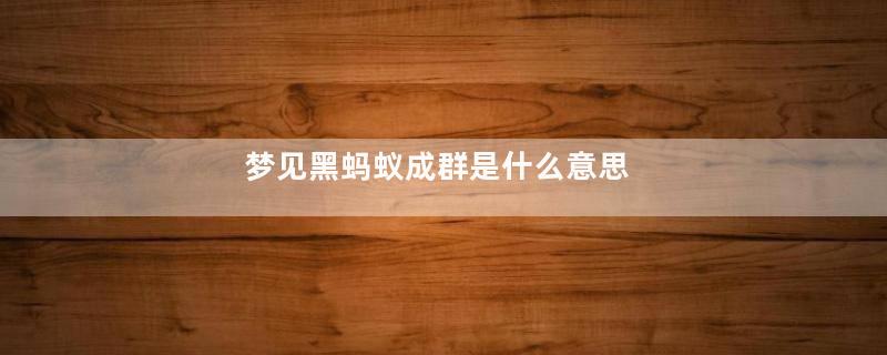 梦见黑蚂蚁成群是什么意思