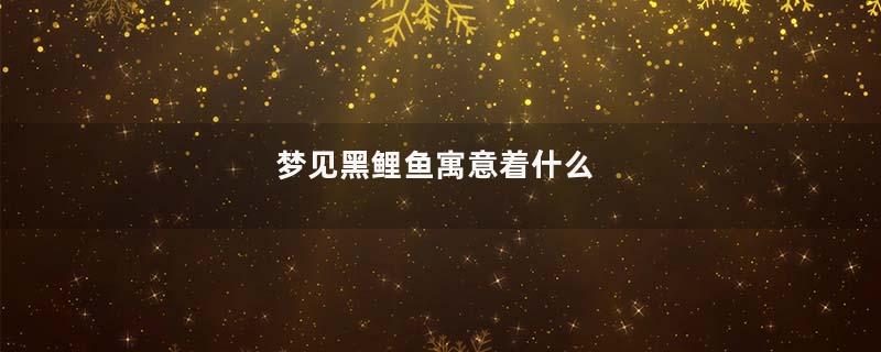 梦见黑鲤鱼寓意着什么
