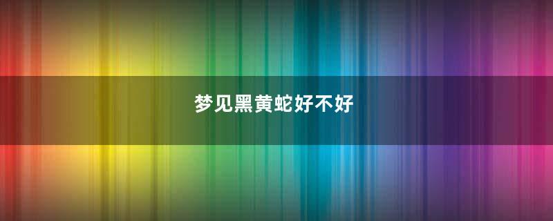 梦见黑黄蛇好不好