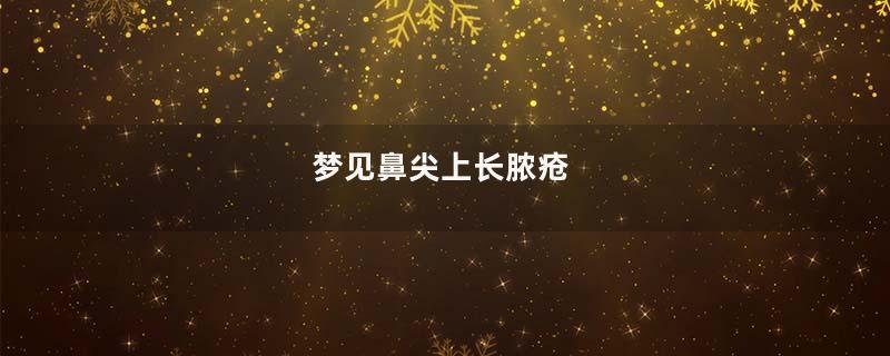 梦见鼻尖上长脓疮