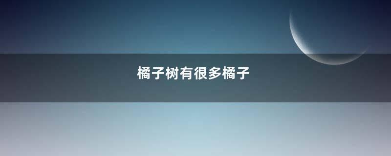 橘子树有很多橘子