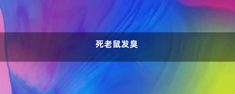 死老鼠发臭