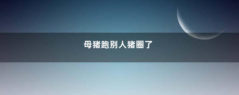 母猪跑别人猪圈了