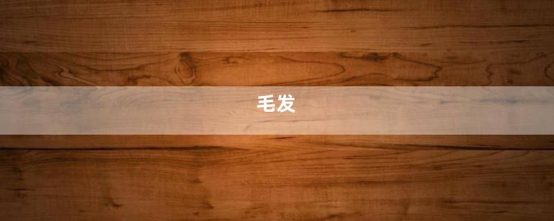 毛发