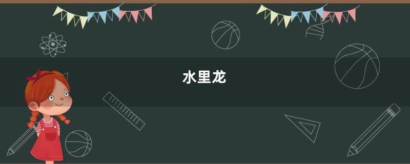 水里龙