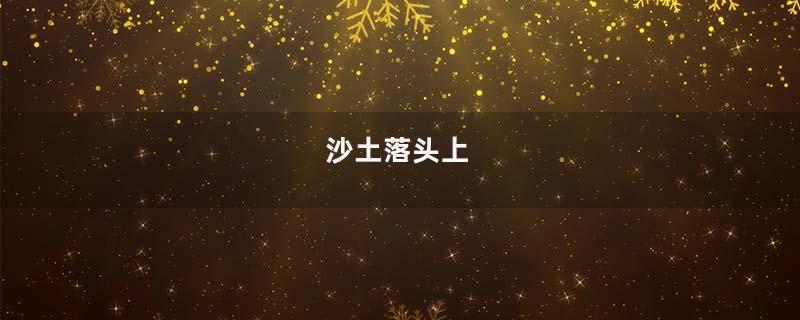 沙土落头上