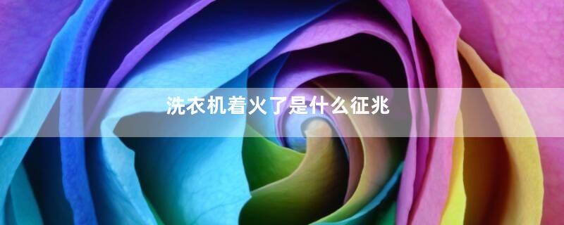 洗衣机着火了是什么征兆