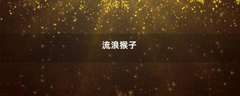流浪猴子