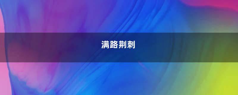满路荆刺