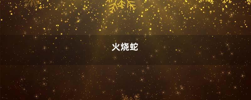 火烧蛇