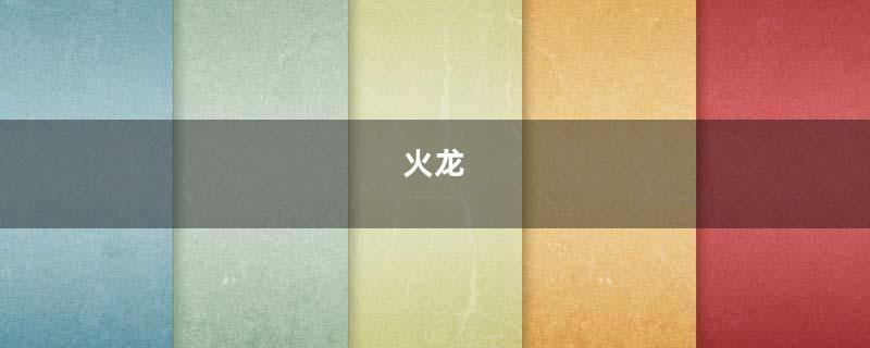 火龙