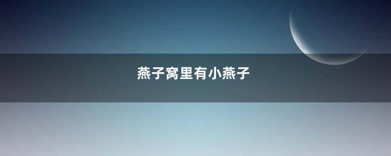 燕子窝里有小燕子