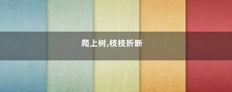 爬上树,枝枝折断