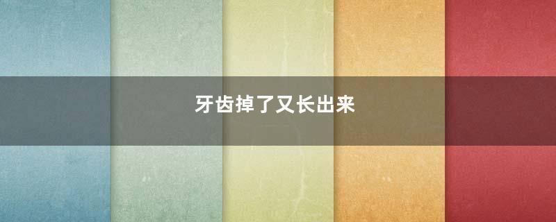 牙齿掉了又长出来
