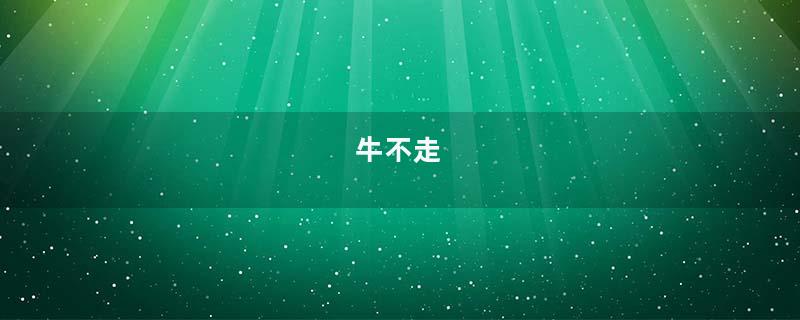 牛不走